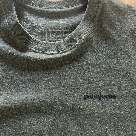 Patagonia Responsibili-tee - Picture 3 of 3